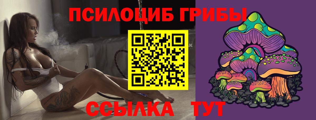 Гудермес  где продают   Вход с VPN  Галлюциногенные грибы Psilocybine cubensis  Псилоцибиновые грибы Psilocybe 