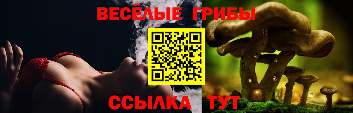 Галлюциногенные грибы мухоморы Гудермес